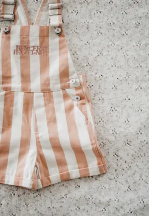 Denim Overalls Peach Stripe