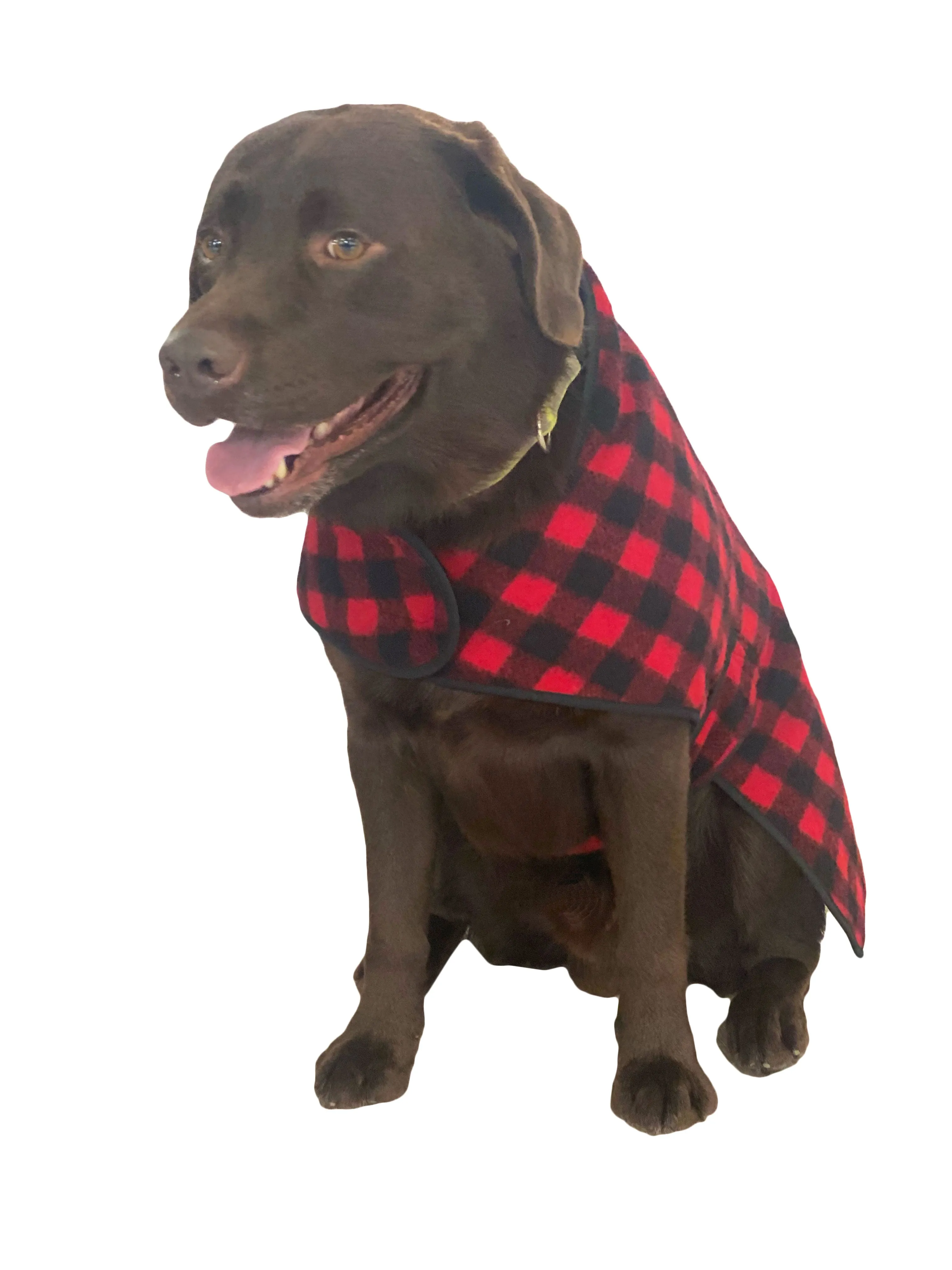 Wool Dog Coat